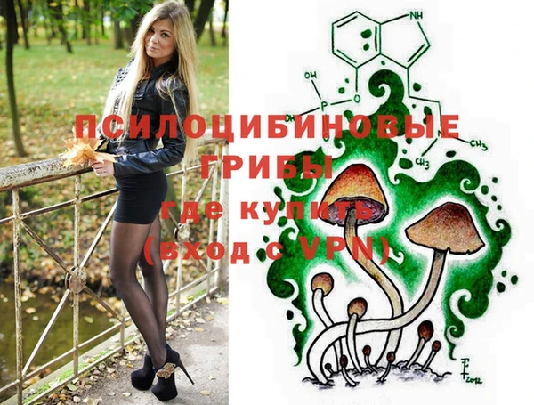 spice Алзамай