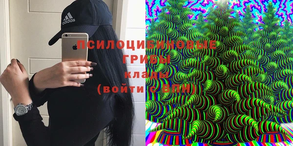 амфетамин Алексеевка