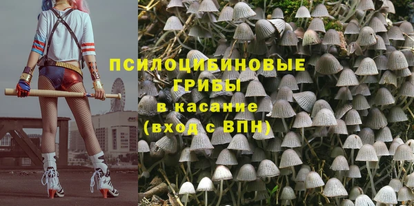 амфетамин Алексеевка
