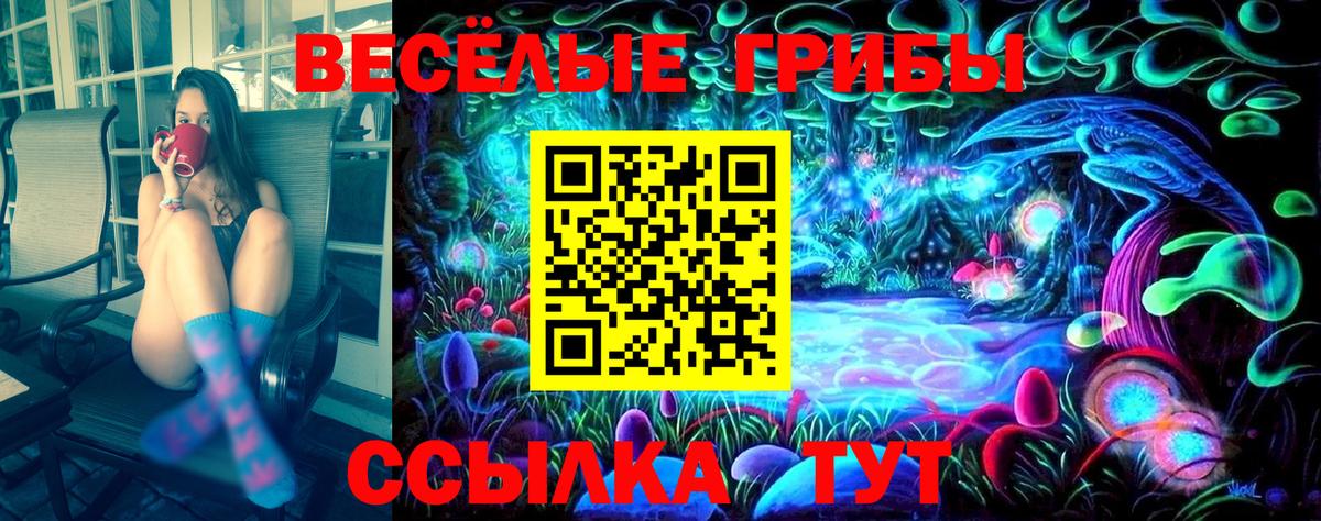 Ленинск-Кузнецкий  Галлюциногенные грибы мицелий  Псилоцибиновые грибы Psilocybe  Вход с VPN 